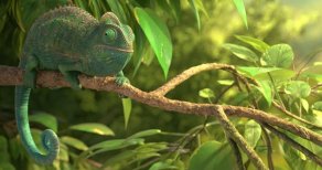 Our Wonderful Nature