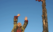 Native Dancer (Baksy)